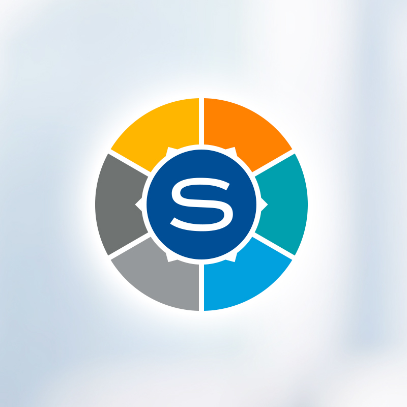 Read more about the article Synergy Website